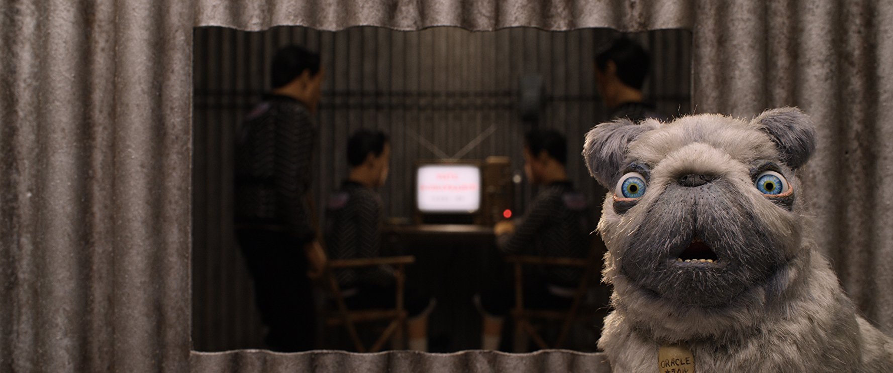 A pug voiced by Tilda Swinton is the focus of this frame, while Japanese characters are in the background.
