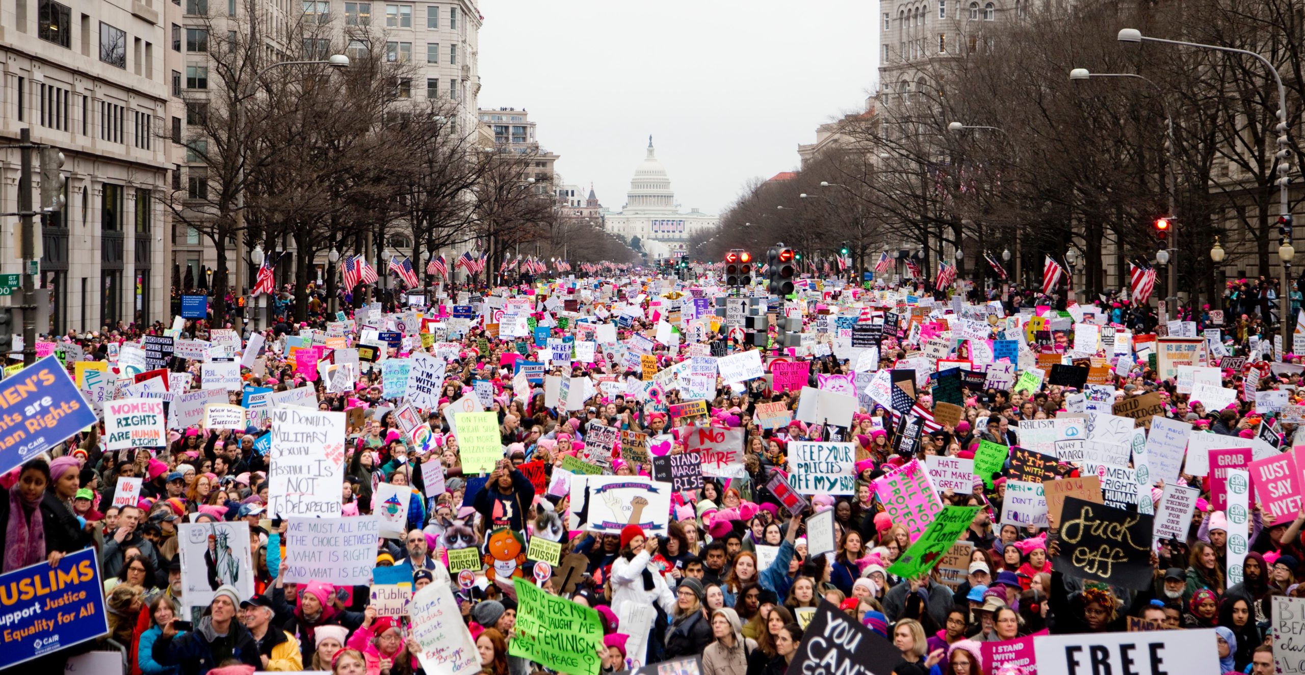 Image of protesters from the Women's March in Washington D.C. in 2017.