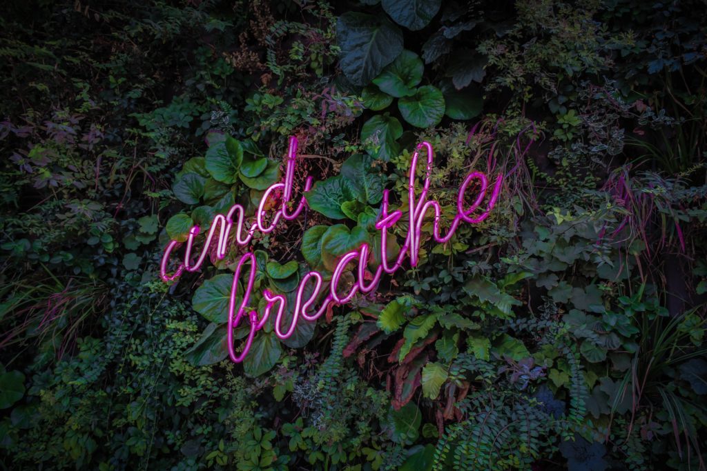Like this neon sign amid verdant foliage suggests, breathing can regulate your emotions during this time of social distancing. 
